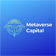 Logo Metaverse Capital Corp.