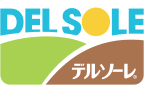 Logo Delsole Corporation
