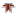 Logo TIMH RESO