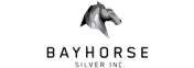 Logo Bayhorse Silver Inc.