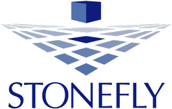 Logo StoneFly Networks, Inc.