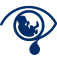 Logo Stillbirth & Neonatal Death Society
