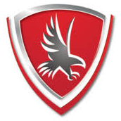 Logo Falcon Insurance Group LLC