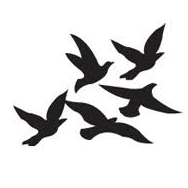 Logo Blackbird Vineyards LLC