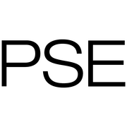 Logo Porsche Automobil Holding SE