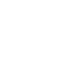 Logo The Hygenic Corp.