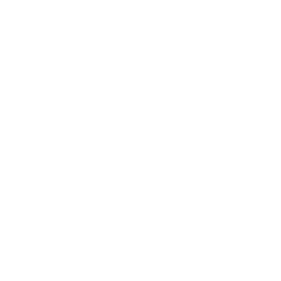 Logo Sociedad Boliviana de Cemento SA