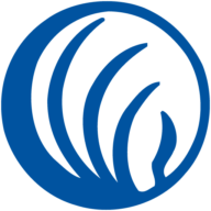Logo NAMI National
