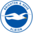 Logo The Brighton & Hove Albion Football Club Ltd.