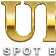 Logo MZM, Inc.
