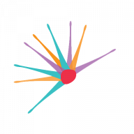 Logo Institute of Management Consultants USA