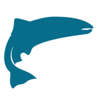 Logo The Atlantic Salmon Federation