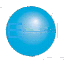 Logo Center for Executive Development