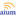 Logo American Institute of Ultrasound in Medicine