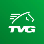 Logo TV Games Network