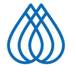Logo Millennium Water Alliance
