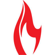 Logo Burn Institute