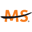 Logo The National Multiple Sclerosis Society (Minnesota)
