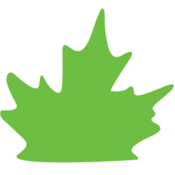Logo Canadian Environmental Certification Approvals Board