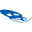Logo Wangsu Science & Technology Co., Ltd.