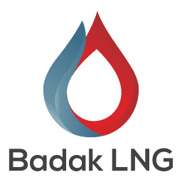 Logo PT Badak NGL