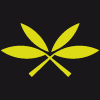Logo Olivos Naturales SL