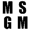 Logo MSGM Srl