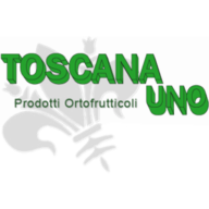 Logo Toscana Uno Srl