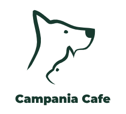 Logo Campania Ltd.