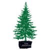 Logo Cedar, Inc.