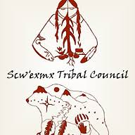 Logo Nicola Tribal Association, Inc.