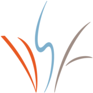 Logo Denver Scholarship Foundation