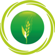 Logo Anino International Plc