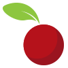 Logo Cranberry Capital Inc
