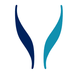 Logo Istituto IL Baluardo SpA
