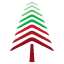 Logo Red Spruce Capital LLC