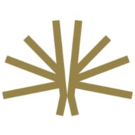 Logo Bushveld Minerals Ltd.