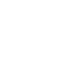 Logo RGA Investment Advisors LLC