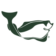 Logo Nordic Halibut AS