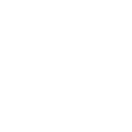 Logo Massive Damage Studios, Inc.