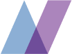 Logo Netsolace, Inc.