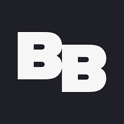 Logo Brave Bison Group Plc