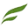 Logo Fine Organic Industries Ltd.