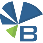 Logo Bristol Capital Ltd.