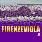 Logo Firenze Viola Srl