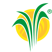 Logo Grupo Porres SA de CV