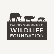 Logo The David Shepherd Wildlife Foundation