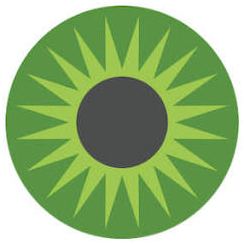 Logo American Association for Pediatric Ophthalmology & Strabismus