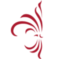 Logo Boyd Coughlan Ltd.