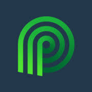 Logo Palmetto Solar LLC